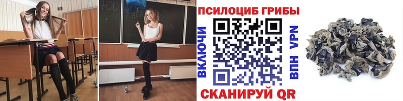 Галлюциногенные грибы прущие грибы Усть-Кут