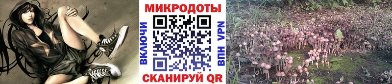 Псилоцибиновые грибы Psilocybine cubensis  Усть-Кут 